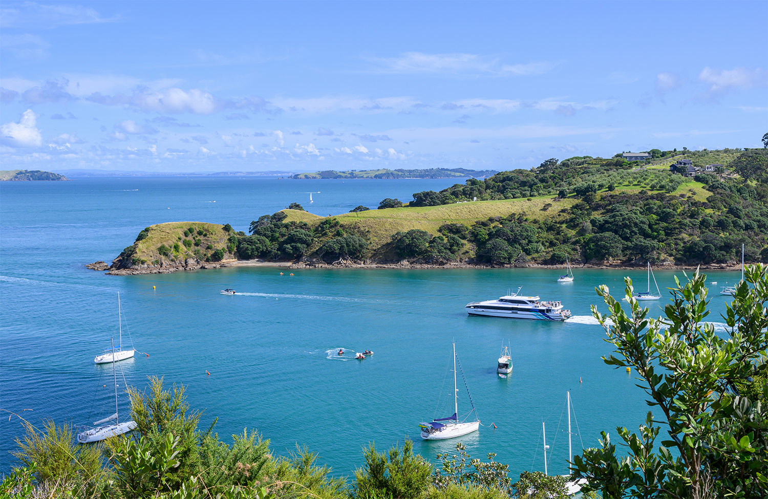 Waiheke Ferry