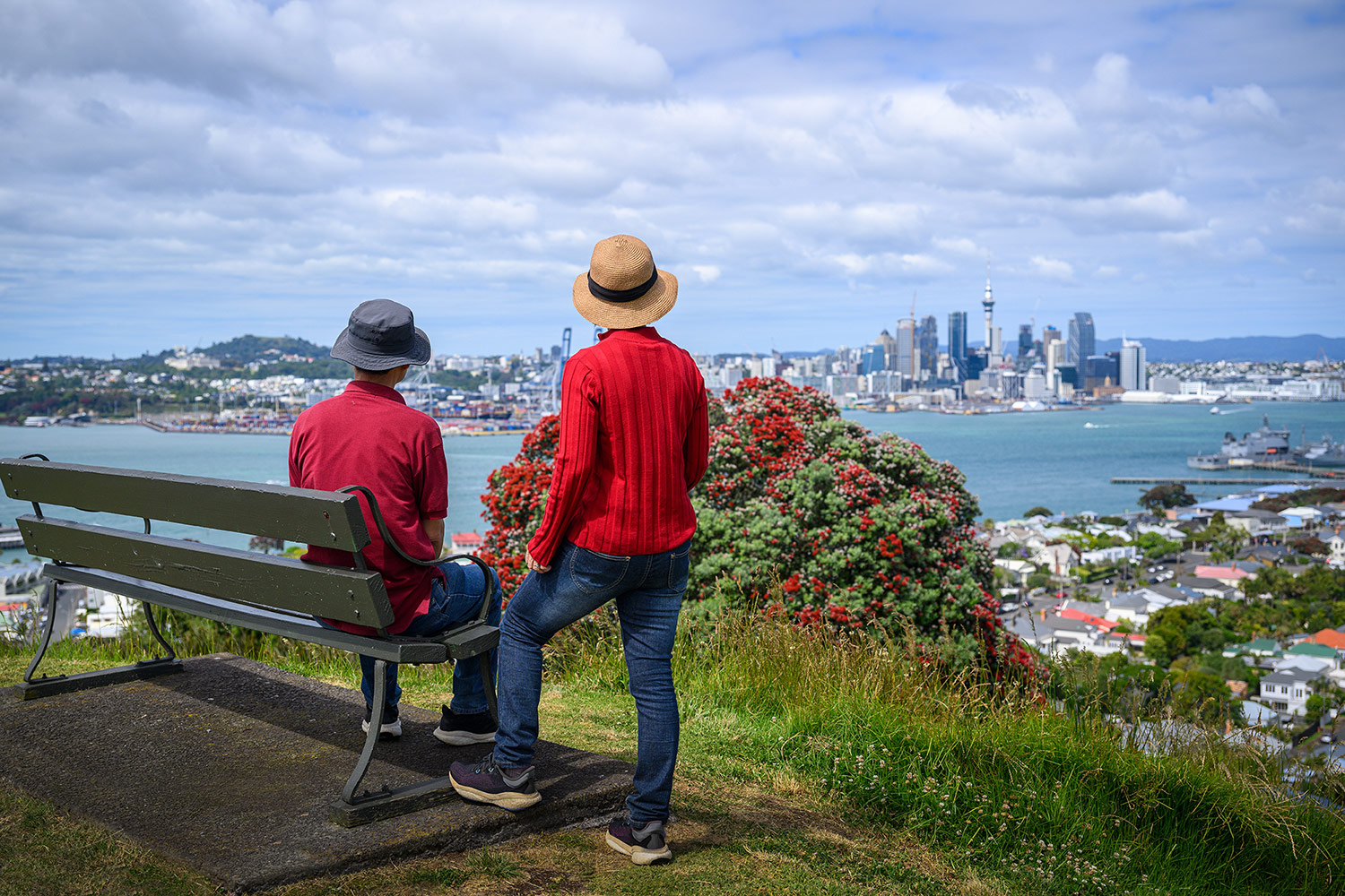 Auckland From North Shore by Janice Chen